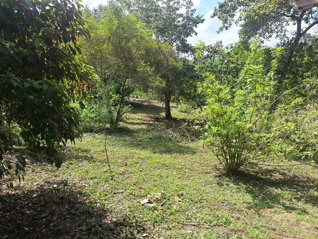 Xultun Farm San Ignacio Exterior foto