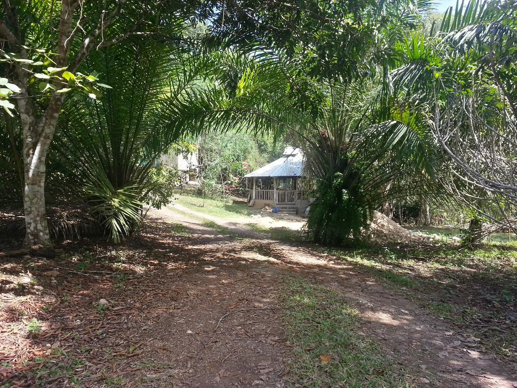 Xultun Farm San Ignacio Exterior foto